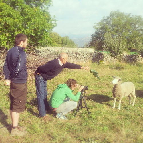 El trukito de la hoja