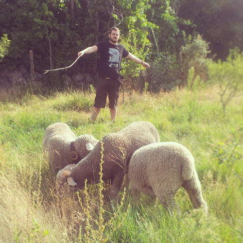 Pastores del siglo XXI