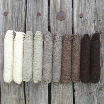 Muestrario de canillas de lanas de Val de San Lorenzo