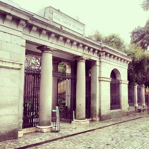 De excursión al Botánico!