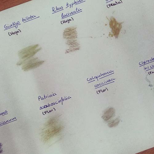 puebas de teñido sobre papel