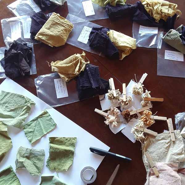 Elaborando el muestrario de algodón teñido con tintes naturales