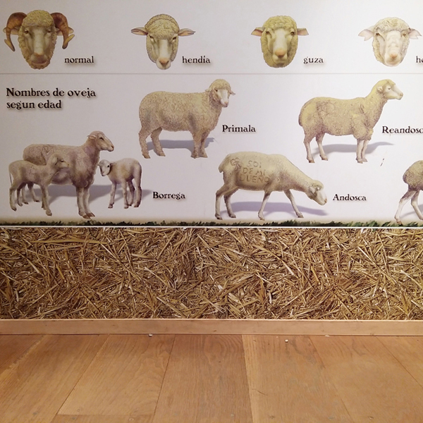 aprendiendo-sobre-ovejas-en-el-centro-de-interpretacion-de-la-trasmumancia_venta-de-piqueras